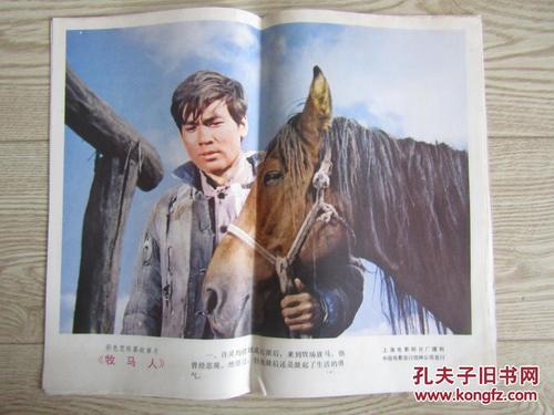 UniversityofLimerick学士毕业证
